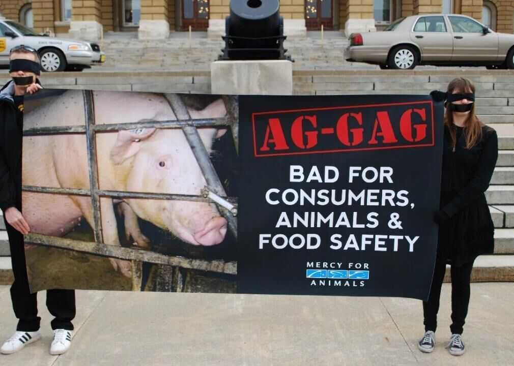 'Ag-gag' rules sweep states